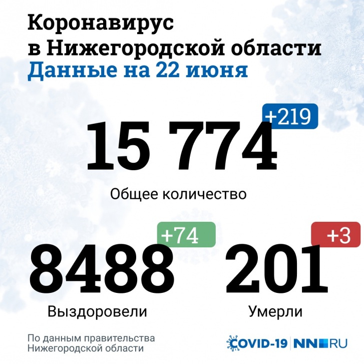 Количество жертв коронавируса в Нижегородской области превысило 200 человек