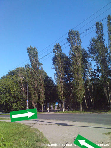 Нижний Новгород дорога к озеру Светлоярское, парк, пляж