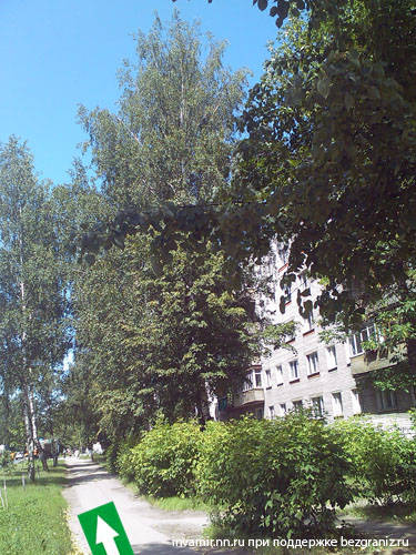Нижний Новгород Рябцева улица