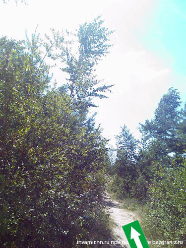 ������ �������� �������� ���� �� ����� ����4